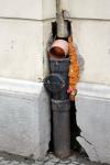 Imagine atasata: IMG_1260.JPG